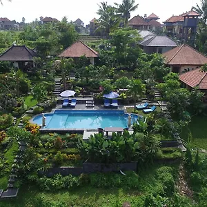 Capung Mas , Ubud Indonésie